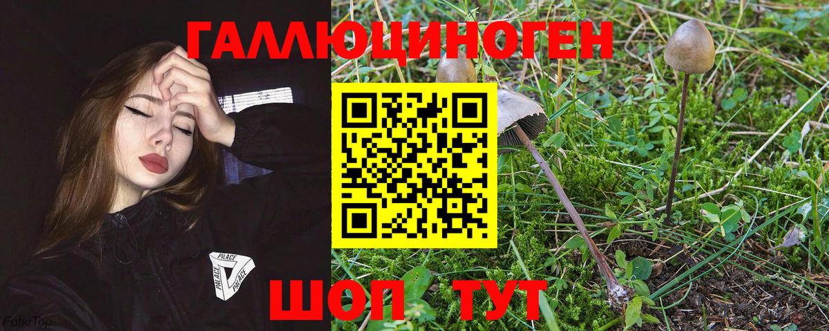 Алушта  Псилоцибиновые грибы Psilocybe  Вход с VPN  Псилоцибиновые грибы ЛСД 
